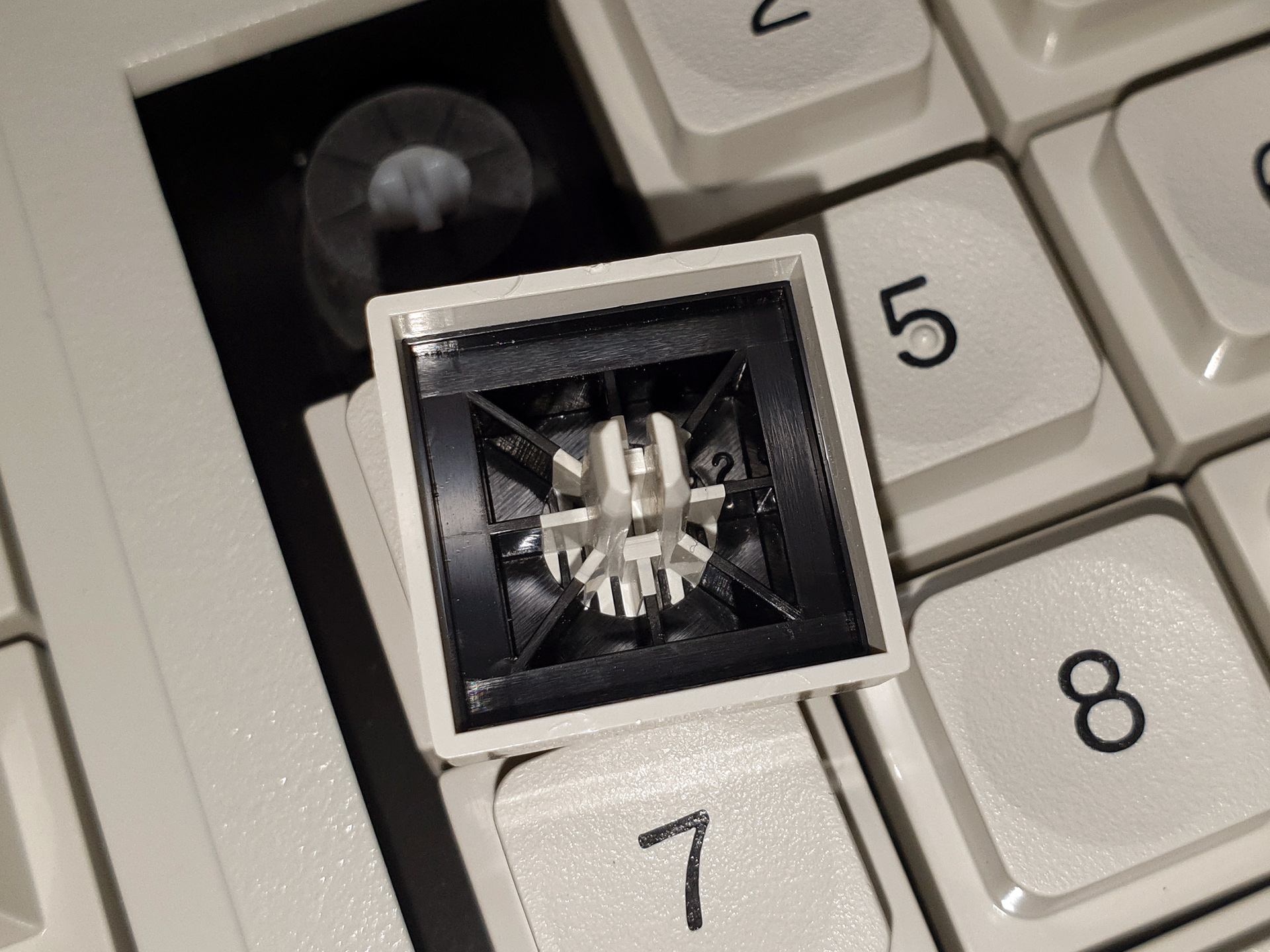 https://sharktastica.co.uk/resources/images/keycaps/shark_76X0100_keytronic_under.jpg