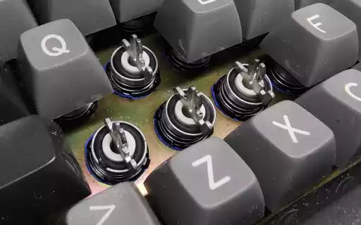 A photo showing several exposed IBM beam spring keyswitches